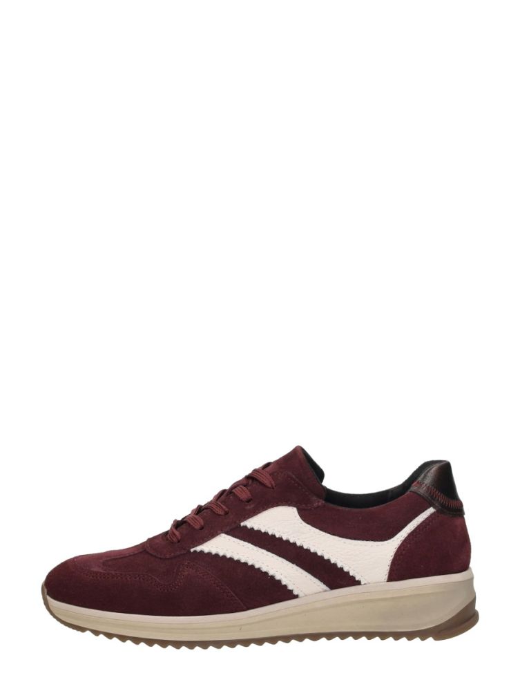 Sub55 Comfort Collection Amber 01