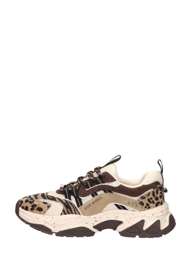 Steve Madden Animates-l