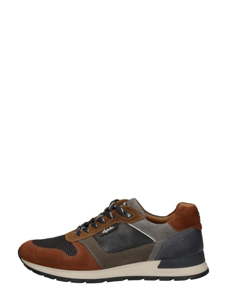 Australian Glastonburry Middel Bruin